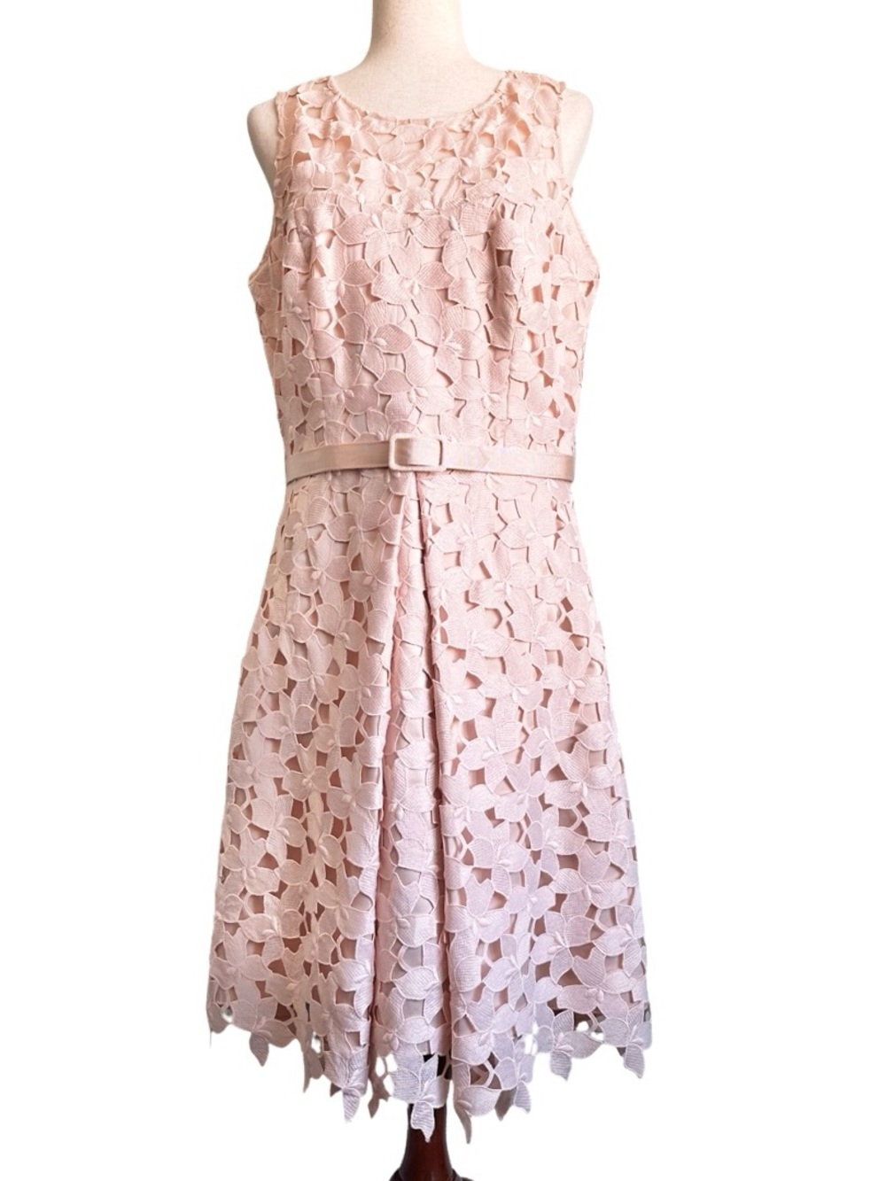 Eliza J Blush Pink Sleeveless Floral Embroidered Lace Appliqué Fit & Flare Dress